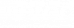 Logo Detec Esp blanco
